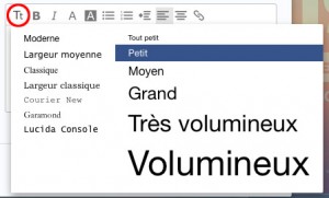 Icone choix de la taille du texte