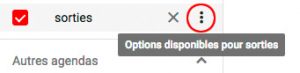 Options des agendas Google