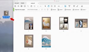 Fichier pdf des pages extraites sur le Finder