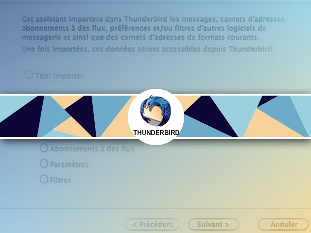 Comment importer un carnet d’adresses mail dans Thunderbirds ?